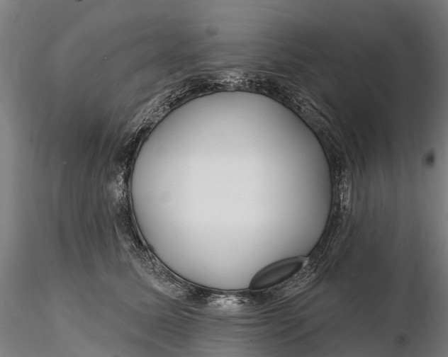 X0000115690611200912031444