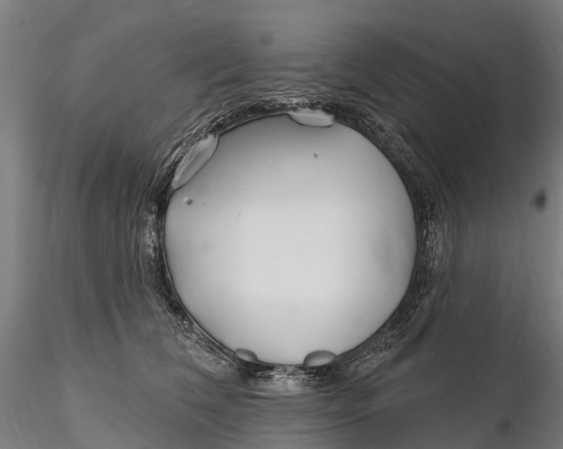 X0000115690612200912031444