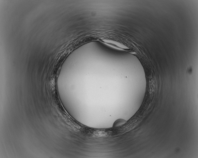 X0000115690613200912031444