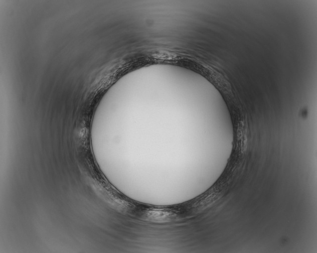 X0000115690614200912031444