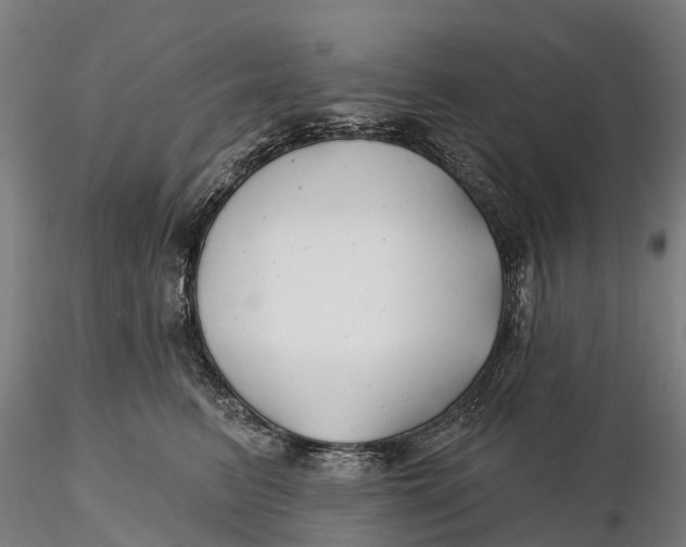 X0000115690615200912031444