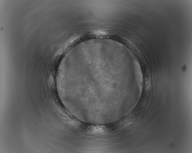 X0000115690618200912031444