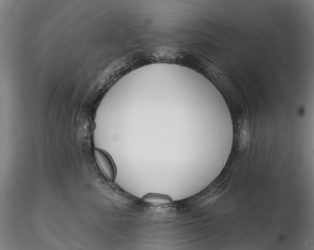 X0000115690619200912031444