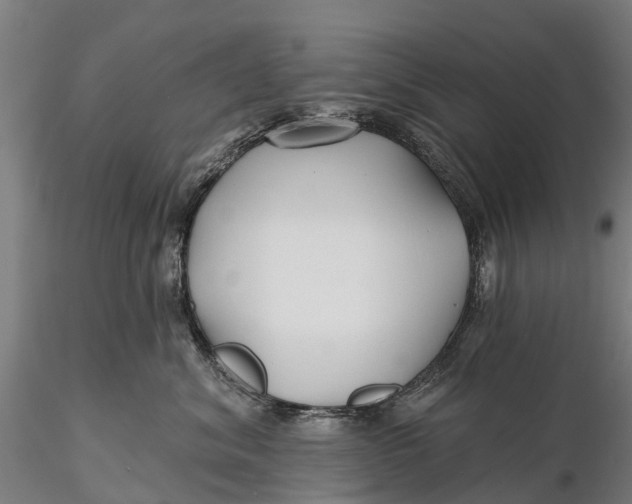 X0000115690620200912031444