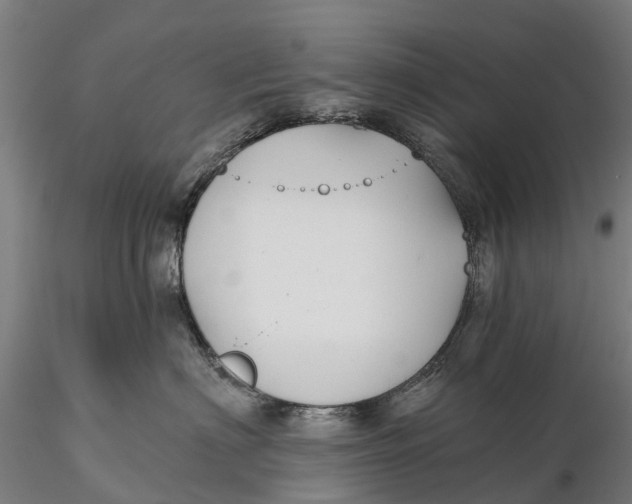 X0000115690622200912031444