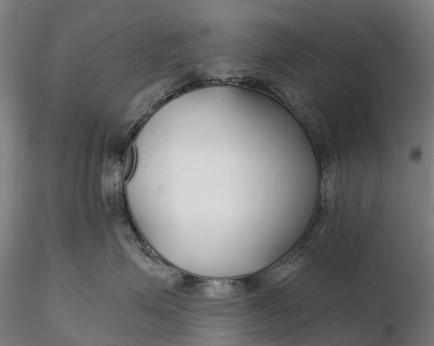 X0000115690623200912031444