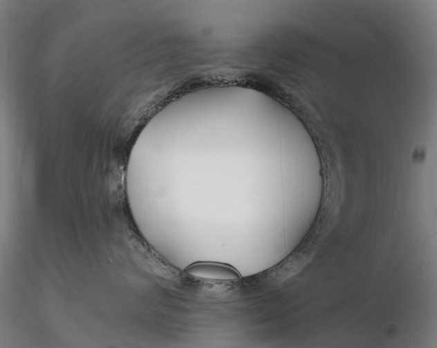 X0000115690624200912031444