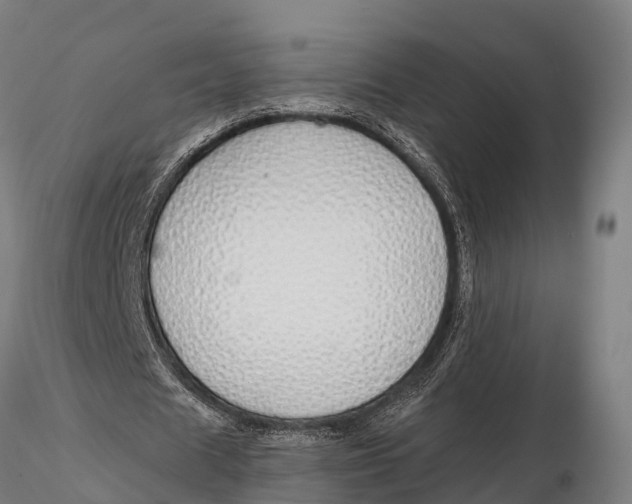 X0000115690625200912031443