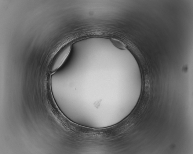 X0000115690626200912031443