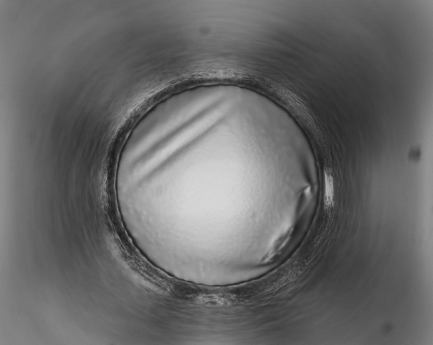 X0000115690627200912031443