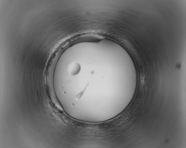 X0000115690628200912031443