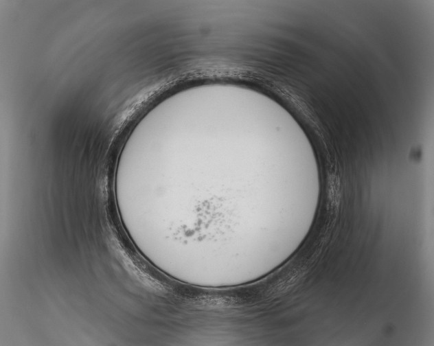 X0000115690629200912031443