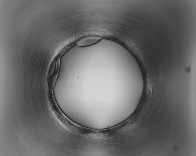 X0000115690630200912031443