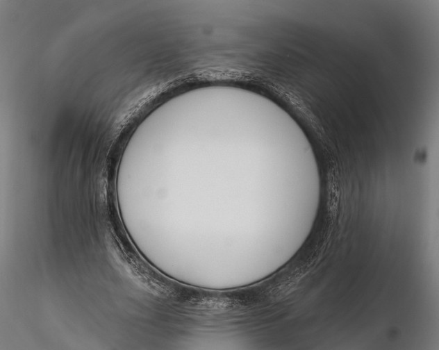 X0000115690631200912031443