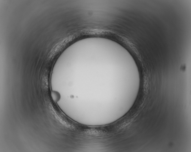 X0000115690633200912031443