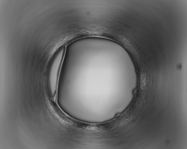 X0000115690634200912031443