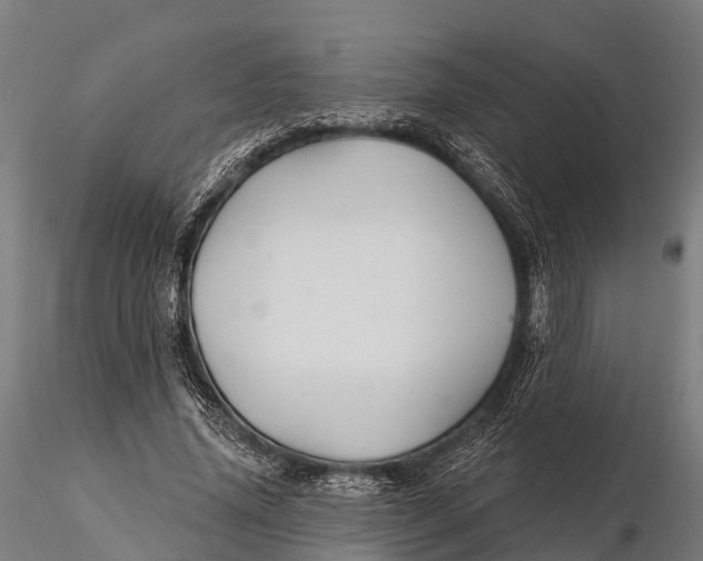 X0000115690636200912031443