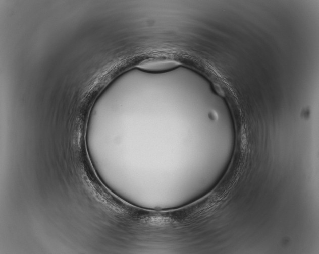 X0000115690637200912031443