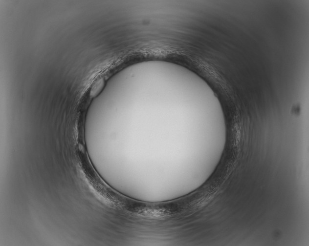 X0000115690638200912031443