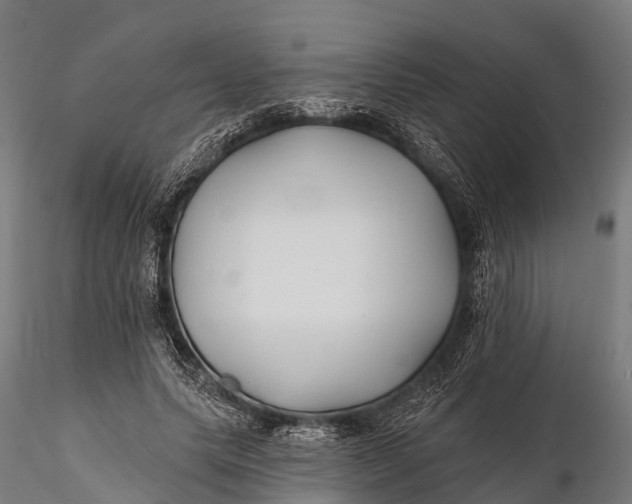 X0000115690639200912031443