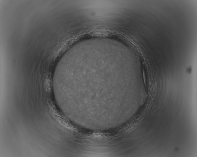 X0000115690641200912031443