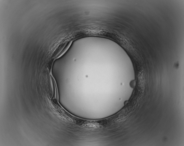 X0000115690642200912031443