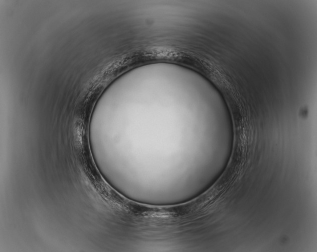 X0000115690643200912031443