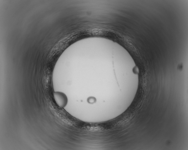 X0000115690645200912031443