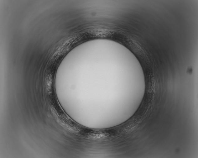 X0000115690646200912031443