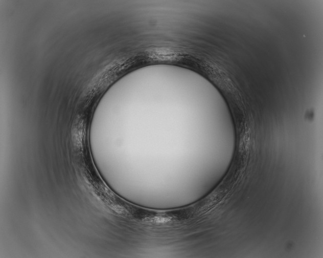 X0000115690647200912031443