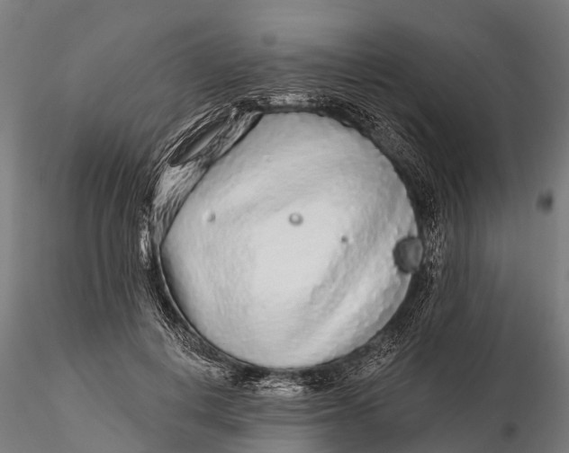 X0000115690648200912031443