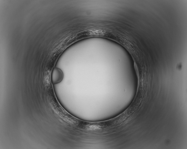 X0000115690649200912031443