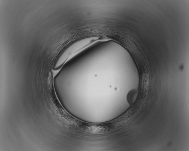 X0000115690650200912031443