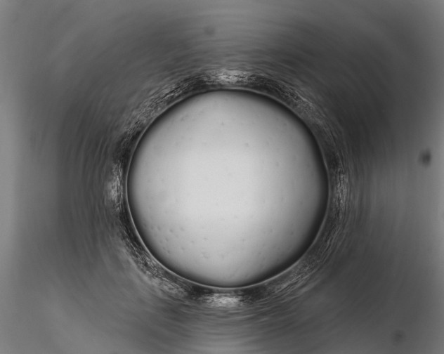 X0000115690651200912031443