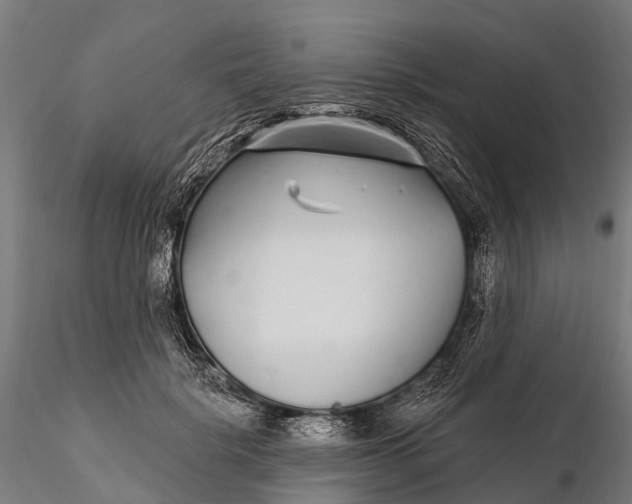 X0000115690652200912031443