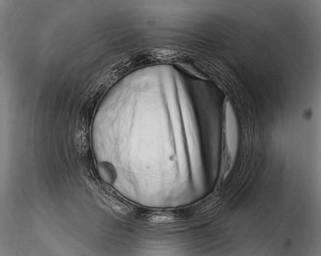 X0000115690653200912031443