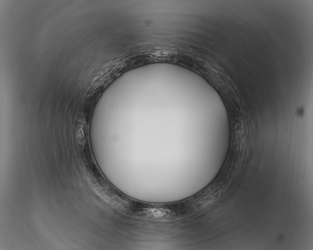 X0000115690654200912031444