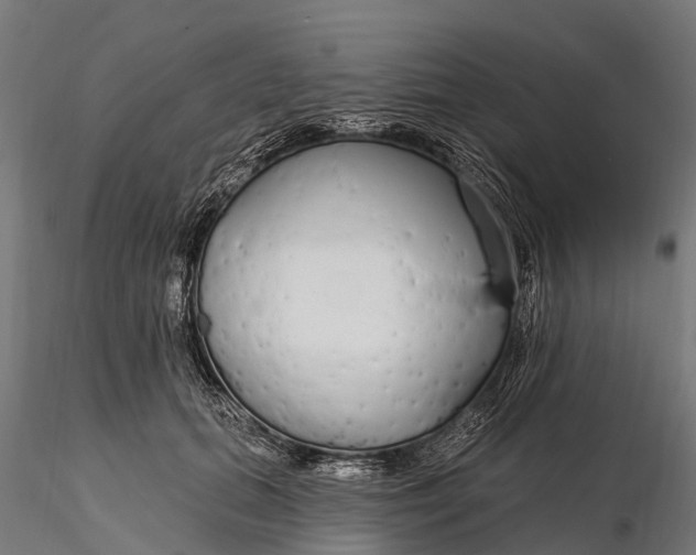 X0000115690655200912031444