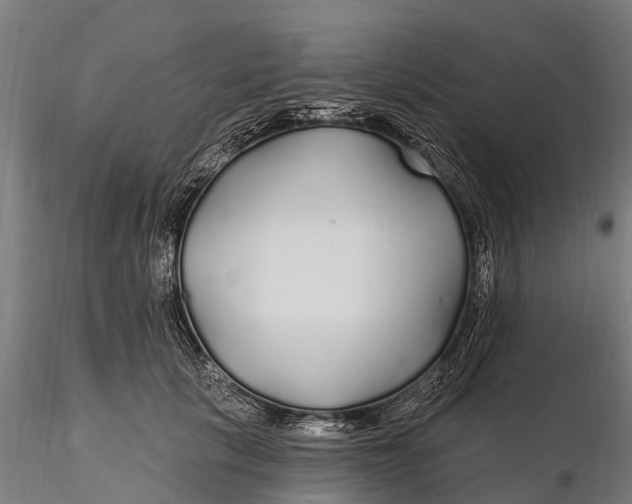 X0000115690657200912031444