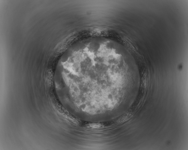 X0000115690659200912031444