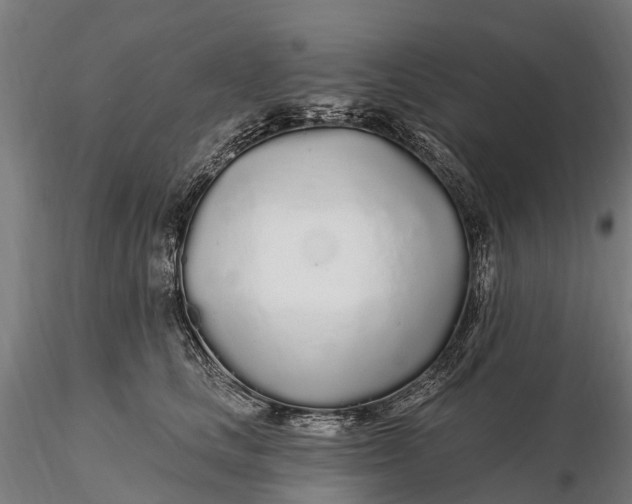 X0000115690661200912031444