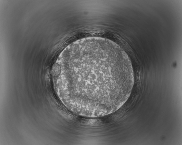 X0000115690663200912031444