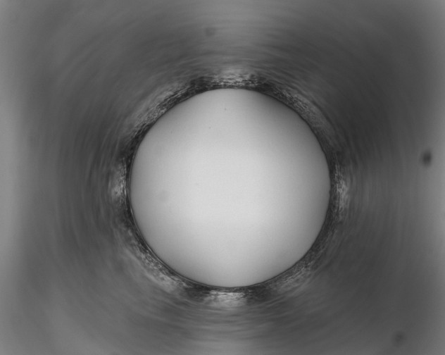 X0000115690665200912031444