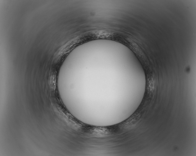 X0000115690666200912031444