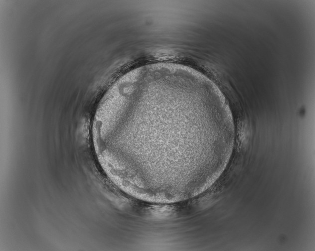 X0000115690667200912031444