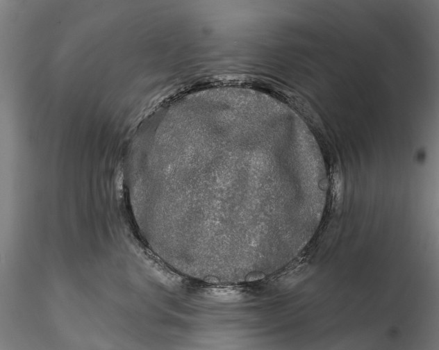 X0000115690668200912031444