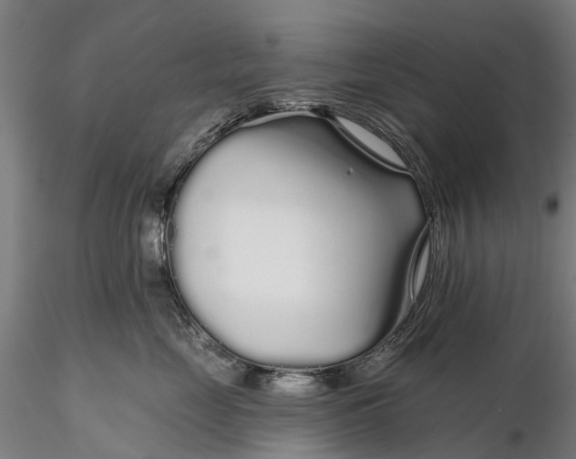 X0000115690669200912031444