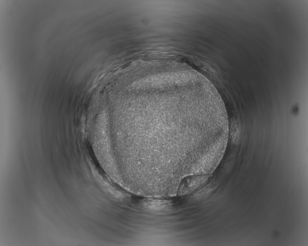 X0000115690670200912031444