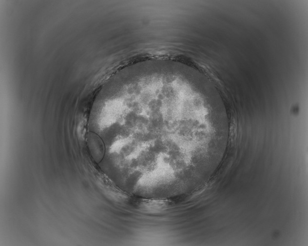 X0000115690671200912031444