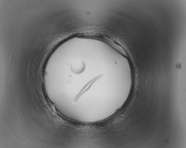 X0000115690673200912031443